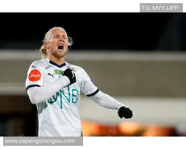 博德闪耀与桑纳菲对决前瞻分析及结果预测详解